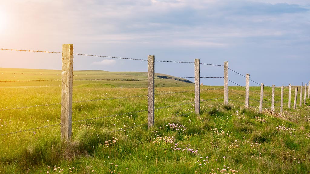 images/pages/news/2025-08-06/custom-rural-fencing-solutions-why-one-size-doesnt-fit-all.jpg#joomlaImage://local-images/pages/news/2025-08-06/custom-rural-fencing-solutions-why-one-size-doesnt-fit-all.jpg?width=1024&height=576