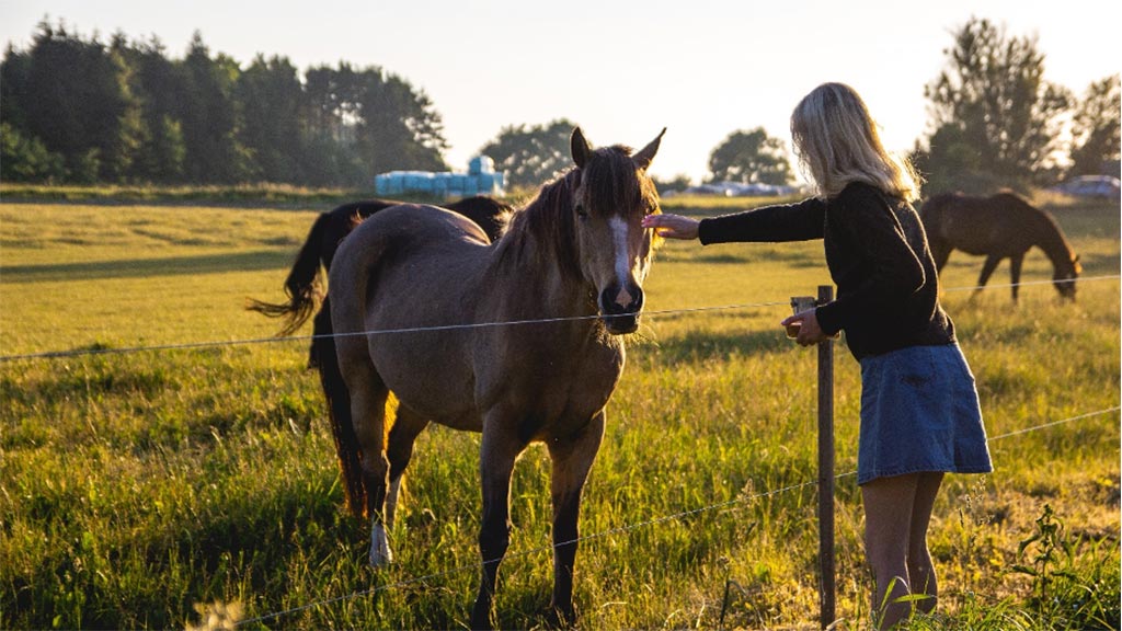A young blond haired woman leaning across a cable fence petting a horse that's standing in a lush green grassy paddock. There are two other horses in the middle distance.
