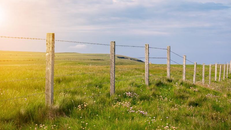 A view along an old barbed wire fence with rustic wooden posts in a lush green grassy paddock