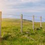 A view along an old barbed wire fence with rustic wooden posts in a lush green grassy paddock