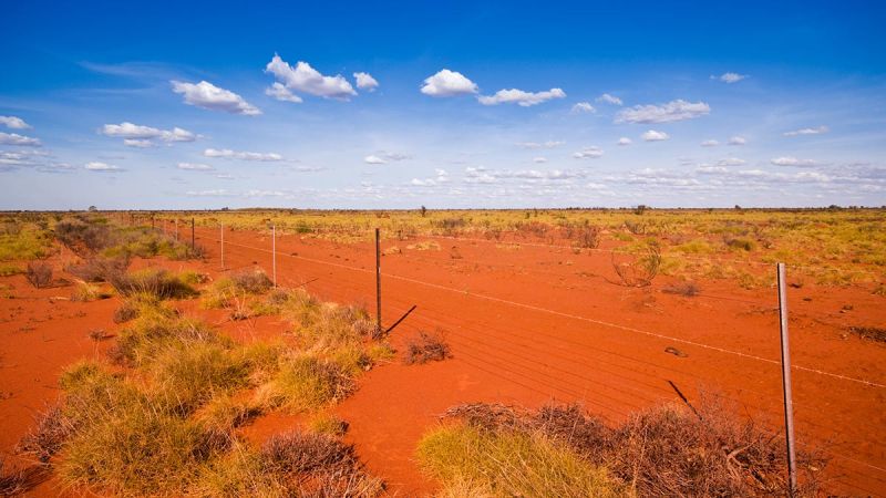 Barbed wire fence in rural paddock with red dirt
