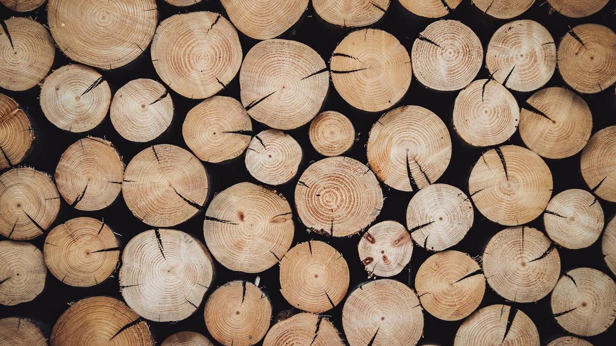images/pages/news/wood-vs-steel-fence-posts/wooden-poles.jpg