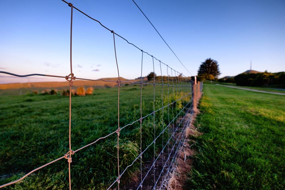 Fencing wire