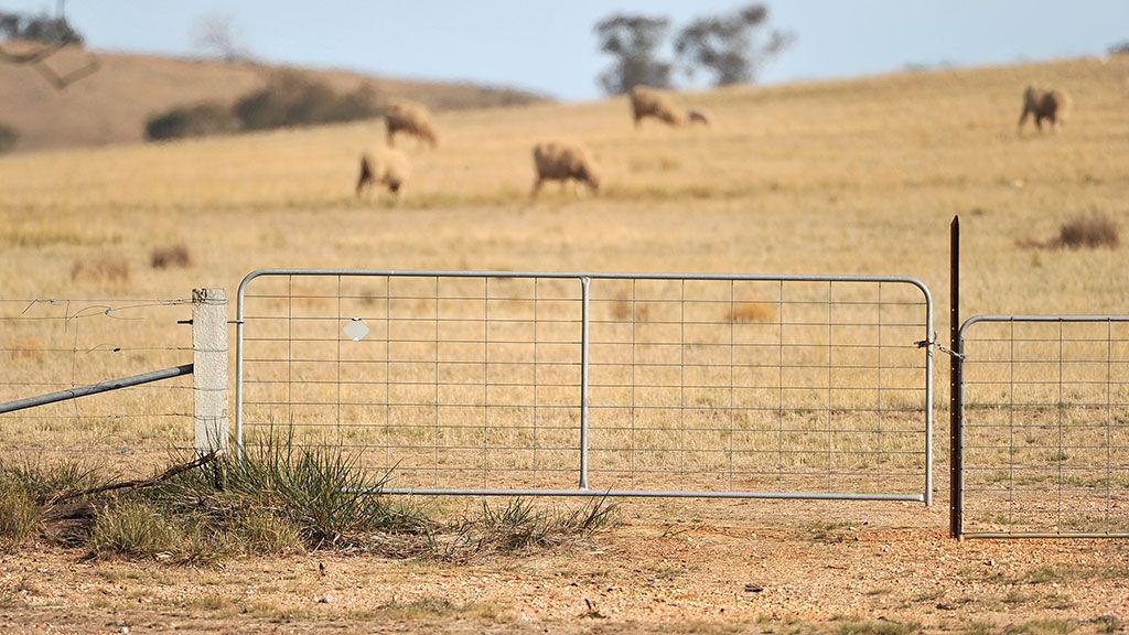 images/pages/news/choosing-the-right-steel-gate-for-your-farm/choosing-the-right-steel-gate-for-your-farm.jpg