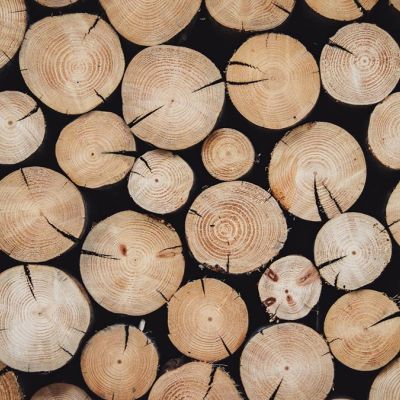 Wooden poles