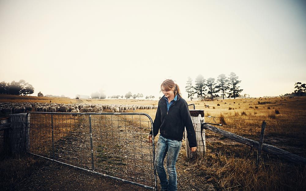 Gates