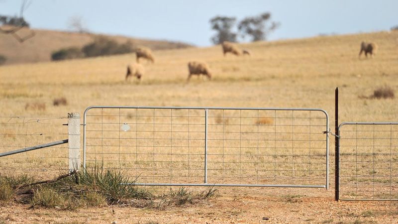 rural fence and gate on farm