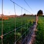Looking along a steel fence in a rural setting at sunset with lush green paddocks on both sides of the fence