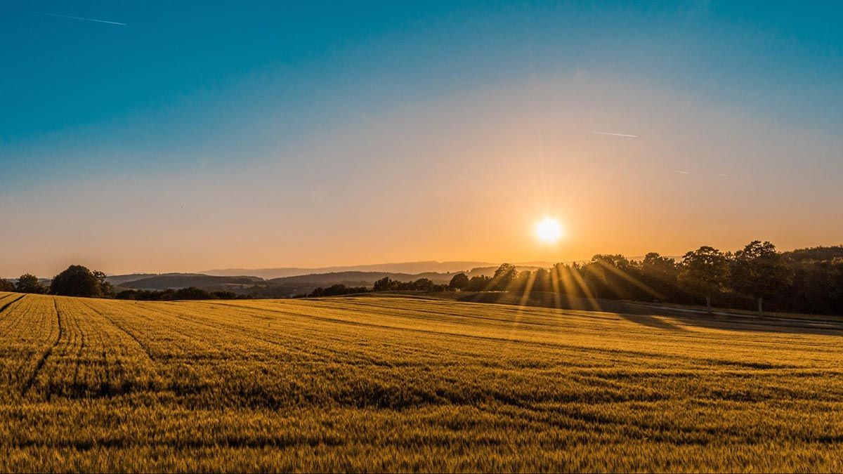 Green farming landscape at sunset with blue skies