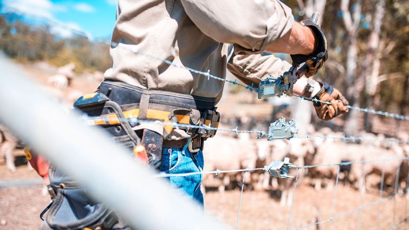 A construction worker wearing a toolbelt tightening a barbed wire fence with pliers